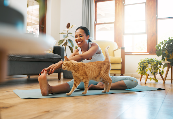 Kitten Yoga: The Perfect Way to Unwind and Unleash Your Inner Feline